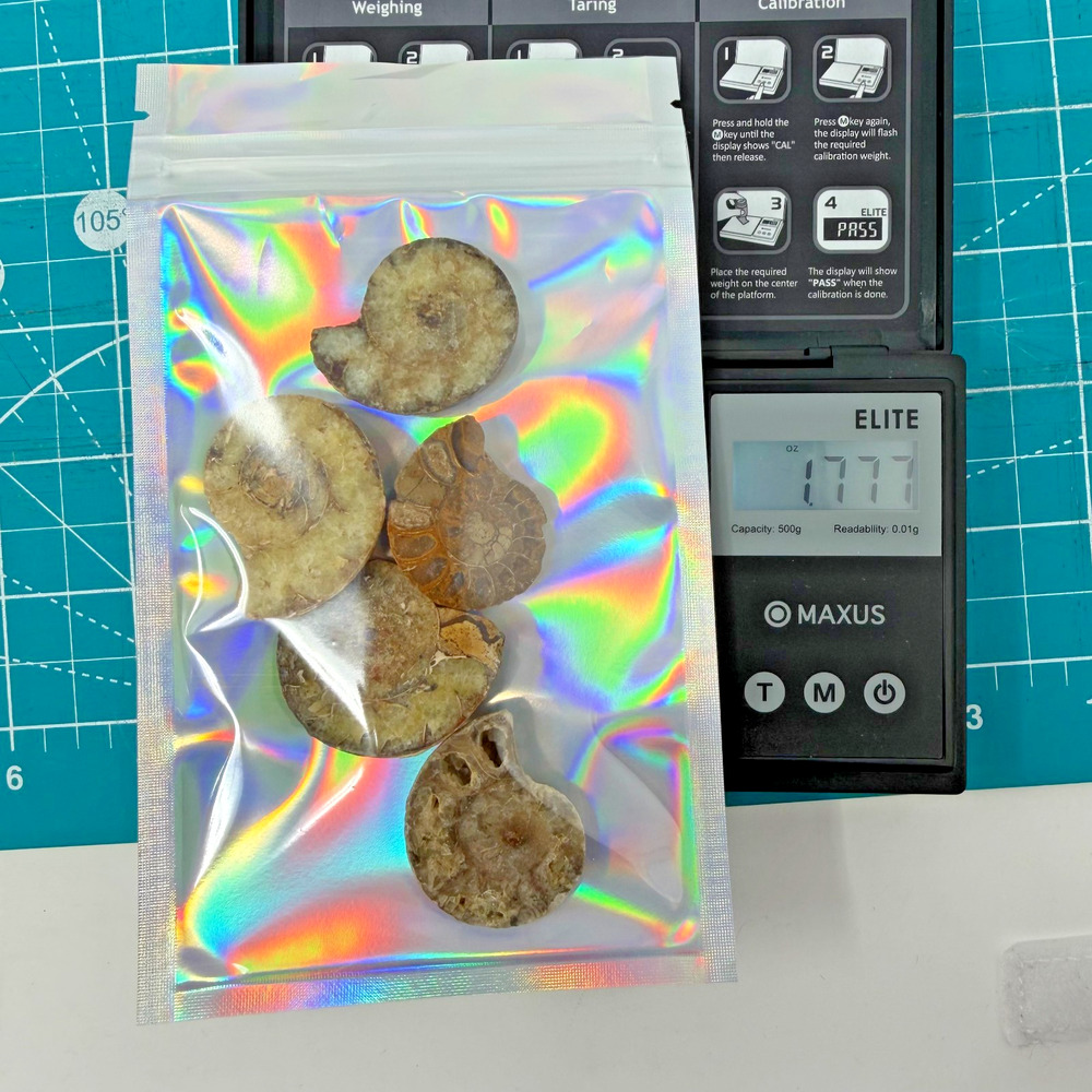 Lot of 5 Polished Ammonite Fossils Madagascar 1.25–1.5" Natural Specimens - Picture 8 of 8